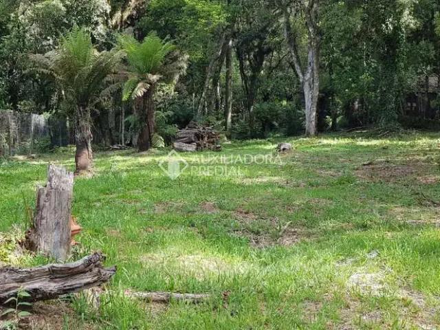 Terreno venda em Canela