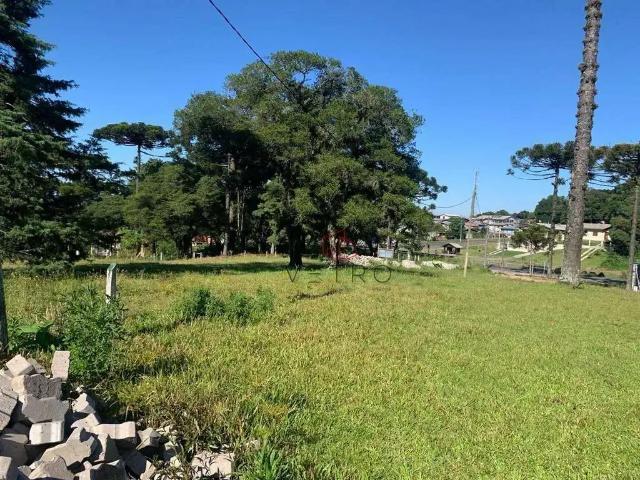 Terreno venda em Região Geográfica Imediata de Caxias do Sul, Canela