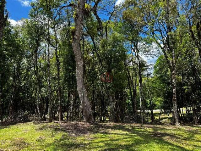 Terreno venda em Região Geográfica Imediata de Caxias do Sul, Canela