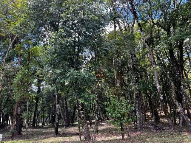 Terreno venda em Região Geográfica Imediata de Caxias do Sul, Canela