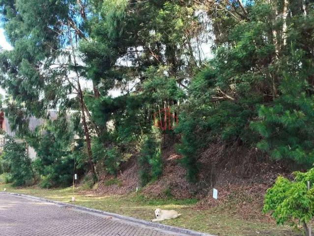 Terreno venda em Região Geográfica Imediata de Caxias do Sul, Canela
