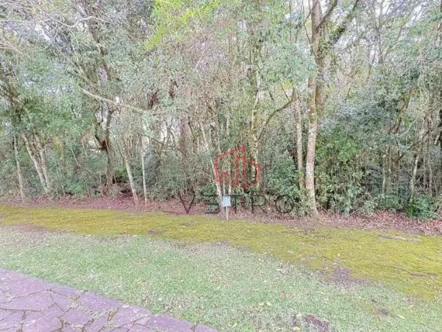 Terreno venda em Região Geográfica Imediata de Caxias do Sul, Canela