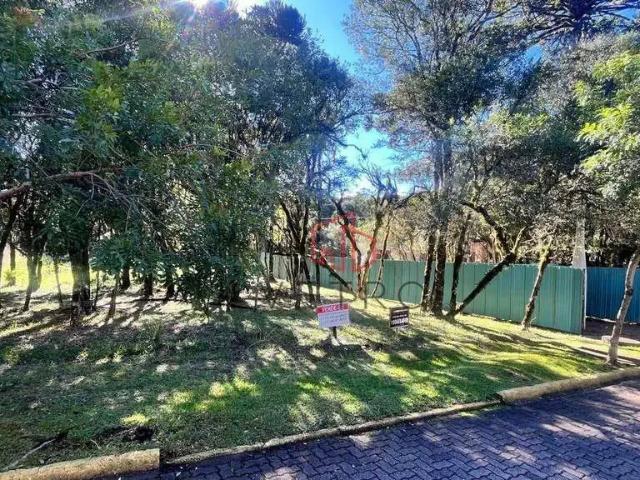 Terreno venda em Região Geográfica Imediata de Caxias do Sul, Canela