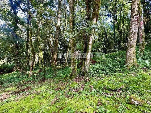 Terreno venda em Região Geográfica Imediata de Caxias do Sul, Canela