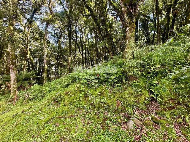 Terreno venda em Região Geográfica Imediata de Caxias do Sul, Canela