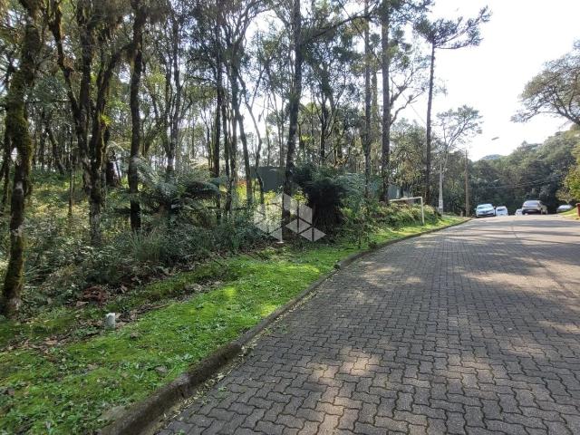 Terreno venda em Gramado