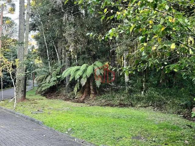 Terreno venda em Região Geográfica Imediata de Caxias do Sul, Canela