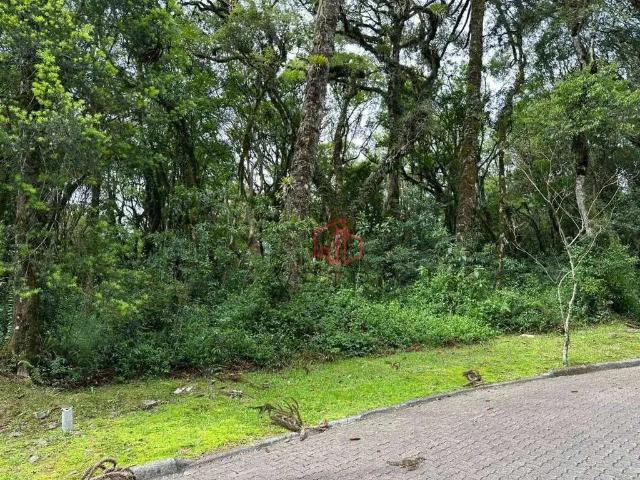 Terreno venda em Região Geográfica Imediata de Caxias do Sul, Canela