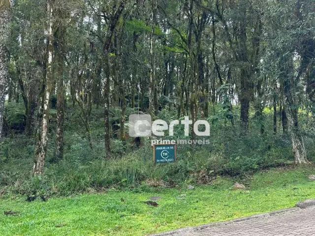 Terreno venda em Região Geográfica Imediata de Caxias do Sul, Canela