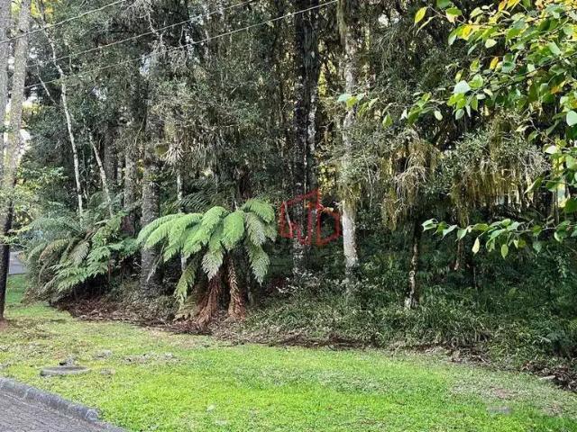 Terreno venda em Região Geográfica Imediata de Caxias do Sul, Canela