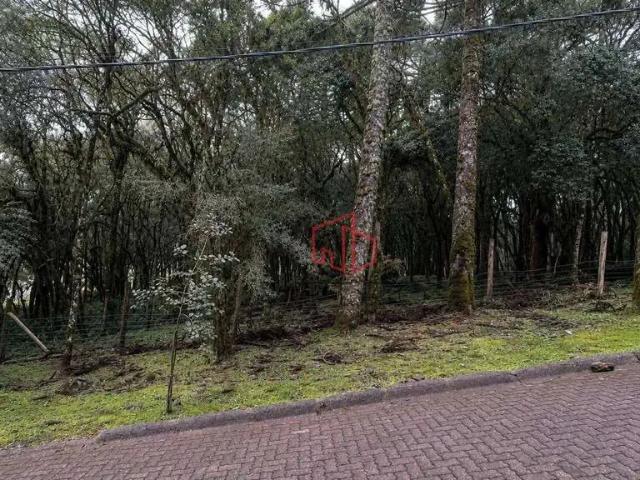 Terreno venda em Região Geográfica Imediata de Caxias do Sul, Canela