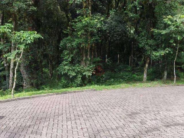 Terreno venda em Região Geográfica Imediata de Caxias do Sul, Canela