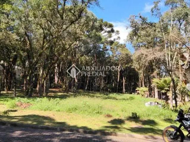 Terreno venda em Região Geográfica Imediata de Caxias do Sul, Canela