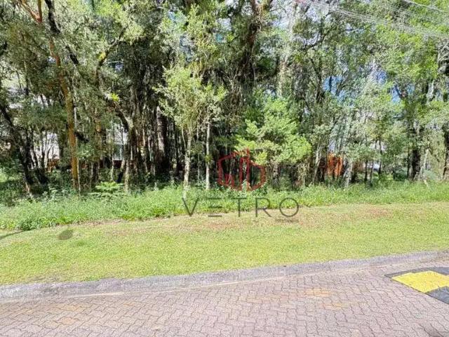 Terreno venda em Região Geográfica Imediata de Caxias do Sul, Canela