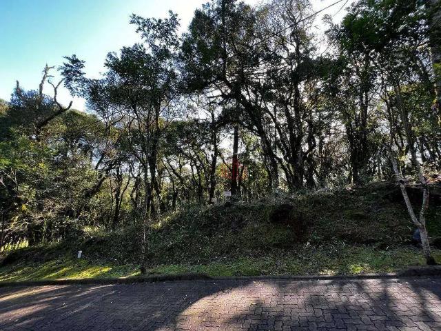 Terreno venda em Região Geográfica Imediata de Caxias do Sul, Canela