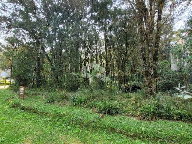 Terreno venda em Gramado