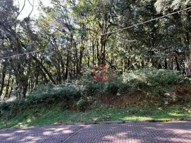 Terreno venda em Região Geográfica Imediata de Caxias do Sul, Canela