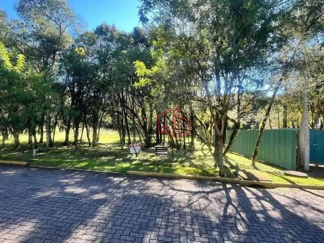 Terreno venda em Região Geográfica Imediata de Caxias do Sul, Canela