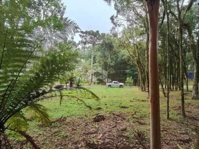 Terreno venda em Região Geográfica Imediata de Caxias do Sul, Canela