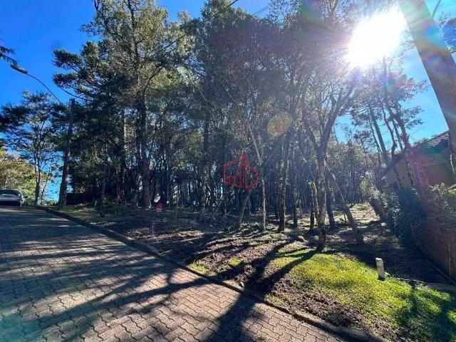 Terreno venda em Região Geográfica Imediata de Caxias do Sul, Canela