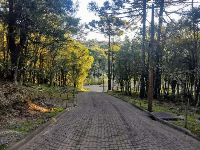 Terreno venda em Região Geográfica Imediata de Caxias do Sul, Canela