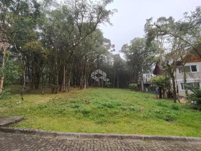 Terreno venda em Região Geográfica Imediata de Caxias do Sul, Canela