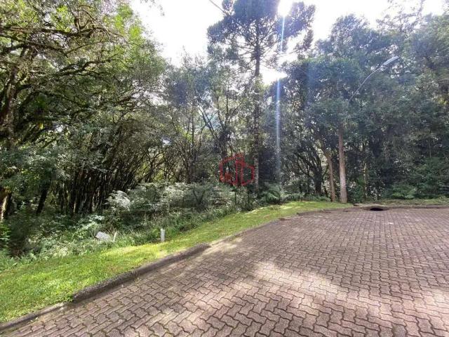 Terreno venda em Região Geográfica Imediata de Caxias do Sul, Canela