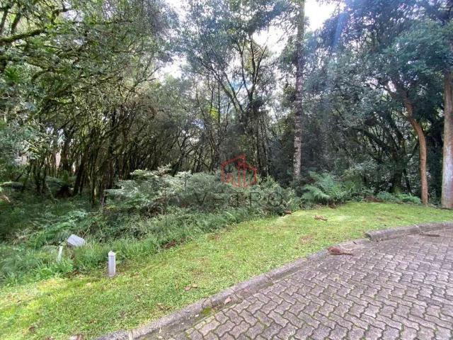 Terreno venda em Região Geográfica Imediata de Caxias do Sul, Canela
