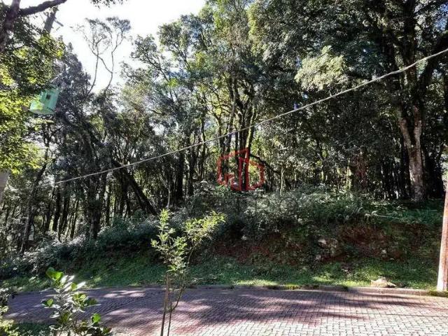Terreno venda em Região Geográfica Imediata de Caxias do Sul, Canela
