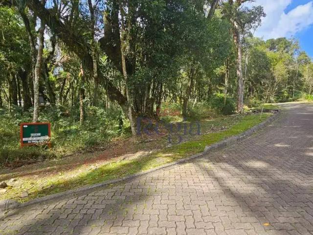 Terreno venda em Região Geográfica Imediata de Caxias do Sul, Canela