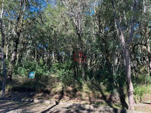 Terreno venda em Região Geográfica Imediata de Caxias do Sul, Canela