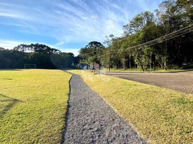 Terreno venda em Canela
