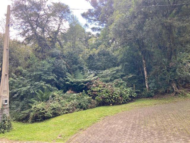 Terreno venda em Quinta da Serra, Canela