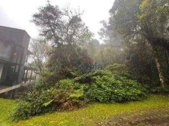 Terreno venda em Quinta da Serra, Canela
