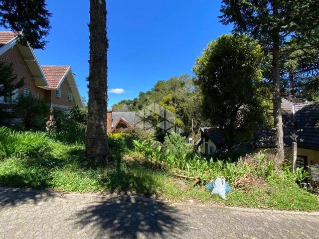 Terreno venda em Quinta da Serra, Canela
