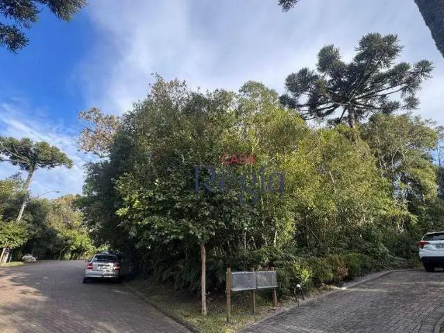 Terreno venda em Região Geográfica Imediata de Caxias do Sul, Canela