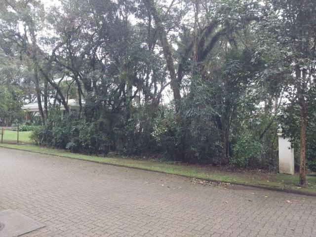 Terreno venda em Região Geográfica Imediata de Caxias do Sul, Canela