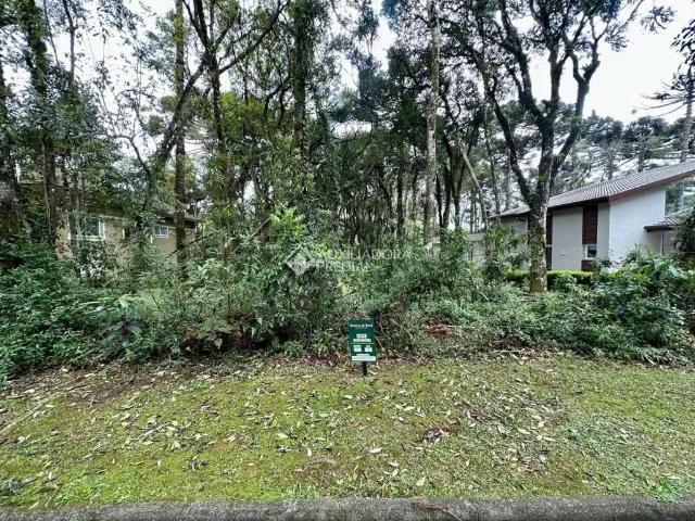 Terreno venda em Região Geográfica Imediata de Caxias do Sul, Canela