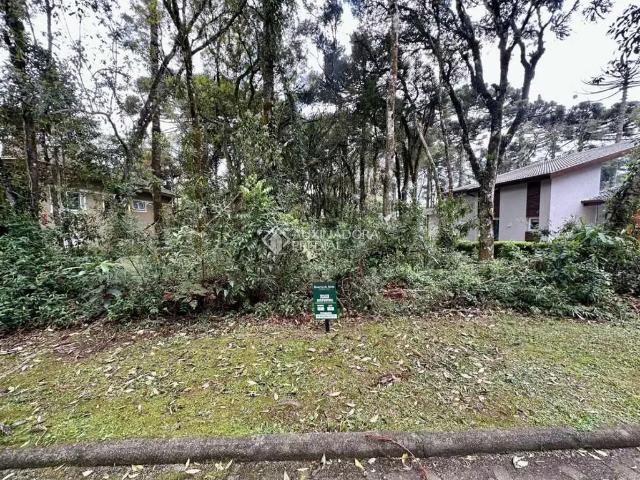 Terreno venda em Região Geográfica Imediata de Caxias do Sul, Canela