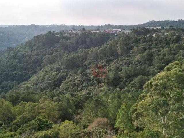 Terreno venda em Região Geográfica Imediata de Caxias do Sul, Canela