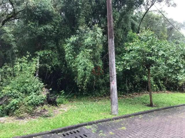 Terreno venda em Região Geográfica Imediata de Caxias do Sul, Canela