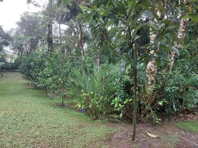 Terreno venda em Canela