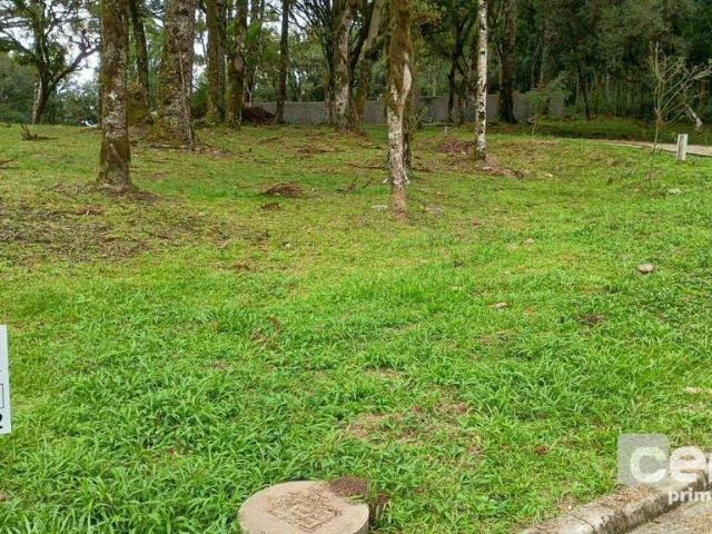 Terreno venda em Região Geográfica Imediata de Caxias do Sul, Canela