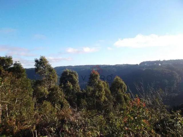 Terreno venda em Região Geográfica Imediata de Caxias do Sul, Canela