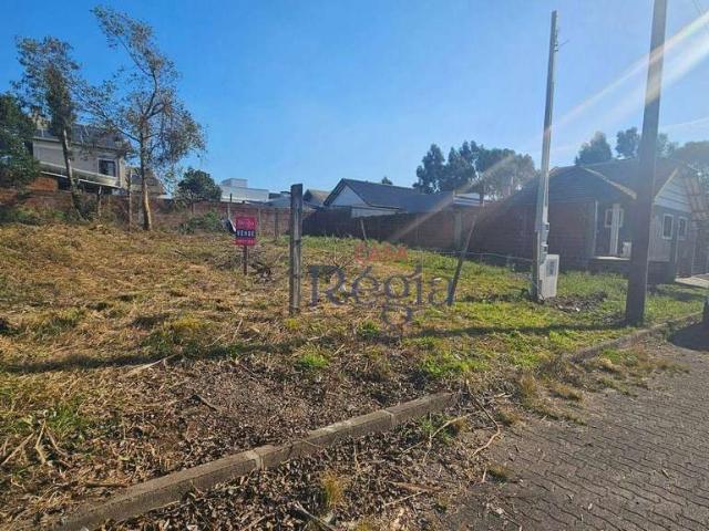 Terreno venda em Região Geográfica Imediata de Caxias do Sul, Canela