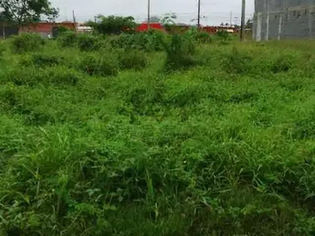 Terreno venda em Região Imediata de Caraguatatuba-Ubatuba-São Sebastião, Região Metropolitana do Vale do Paraíba e Litoral Norte