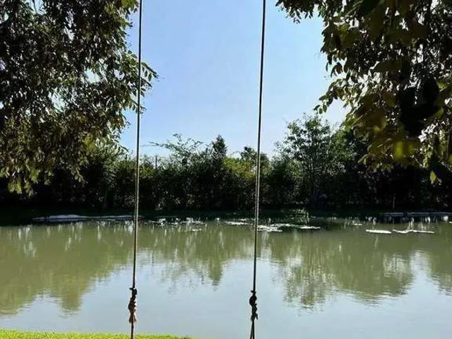 Terreno venda em Alto Alegre, Cascavel