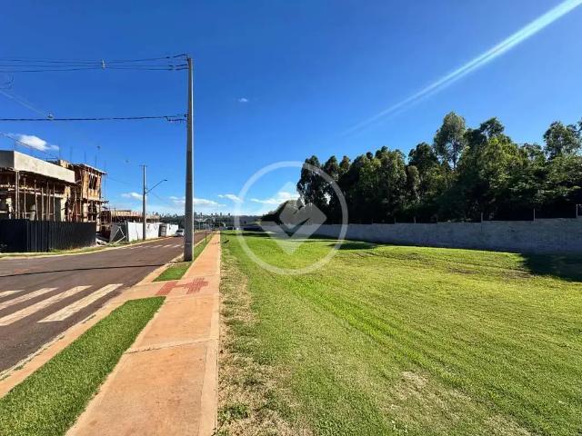 Terreno venda em Brasmadeira, Cascavel
