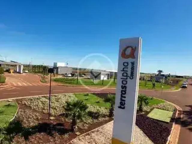 Terreno venda em Região Geográfica Imediata de Cascavel, Cascavel
