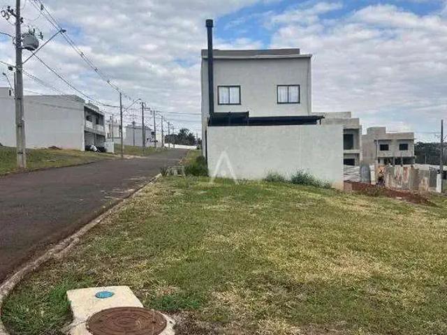 Terreno venda em Região Geográfica Imediata de Cascavel, Cascavel